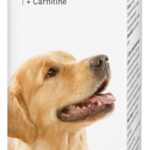 Beaphar multi-vit laveta + carnitine hond