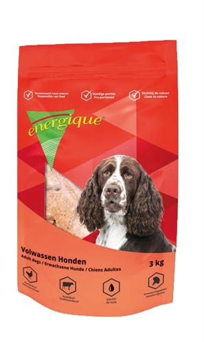 Energique nr 1 volwassen hond