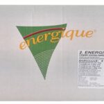 Energique nr 2 puppy