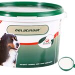 Primeval gelatinaat hond