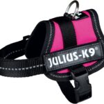 Julius k9 power-harnas / tuig voor labels fuchsia