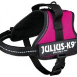 Julius k9 power-harnas / tuig voor labels fuchsia