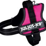 Julius k9 power-harnas / tuig voor labels fuchsia