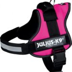 Julius k9 power-harnas / tuig voor labels fuchsia