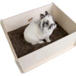 Bunny nature diggingbox graafbox