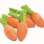 Happy pet carrot nibblers knaaghout