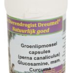 Dierendrogist groenlipmossel met glucosamine / msm / curcuma
