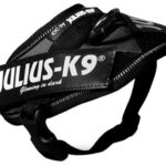 Julius k9 idc power-harnas/tuig voor labels zwart
