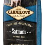 Carnilove salmon adult