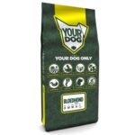 Yourdog bloedhond senior