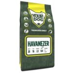 Yourdog havanezer pup