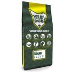 Yourdog noorse buhund senior