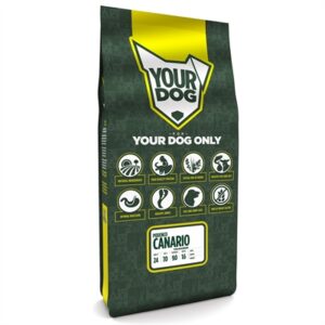 Yourdog podenco canario volwassen