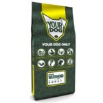 Yourdog portugese waterhond senior