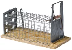 Product afbeelding